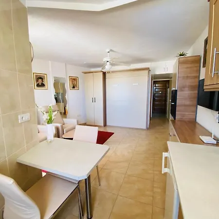 Casa Allegra - Parque Santiago Ii Apartment Playa de las Americas (Tenerife)